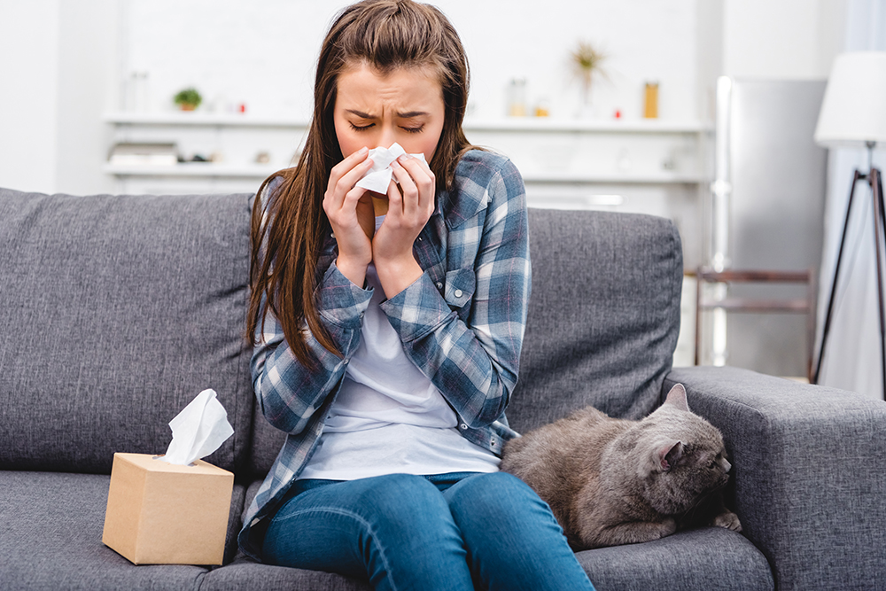 How to Reduce Indoor Allergens in Your Home 7 reduce indoor allergens