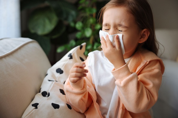 Breathe Easy: Enhancing Indoor Air Quality in Minnesota Homes During Spring Allergy Season with Minnesota Home Cleaning Services 5 Minnesota home cleaning services